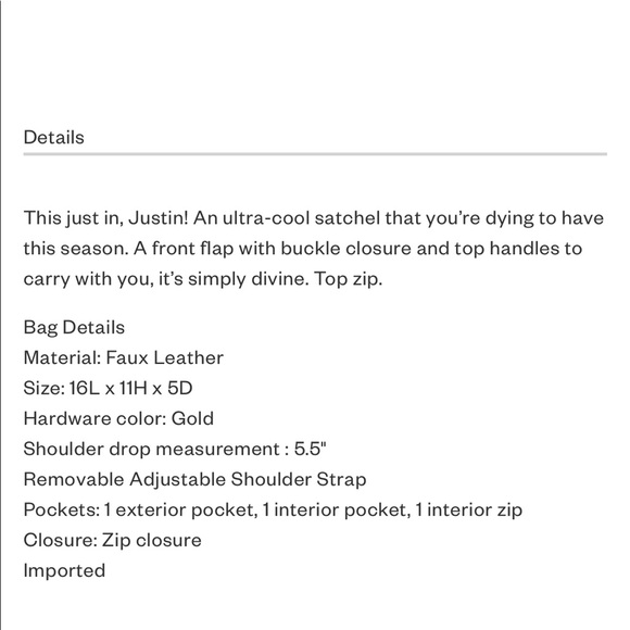 👜👝NEW JUSTFAB/SHOEDAZZLE "JUSTIN" SATCHEL 👝👜 - Picture 2 of 8